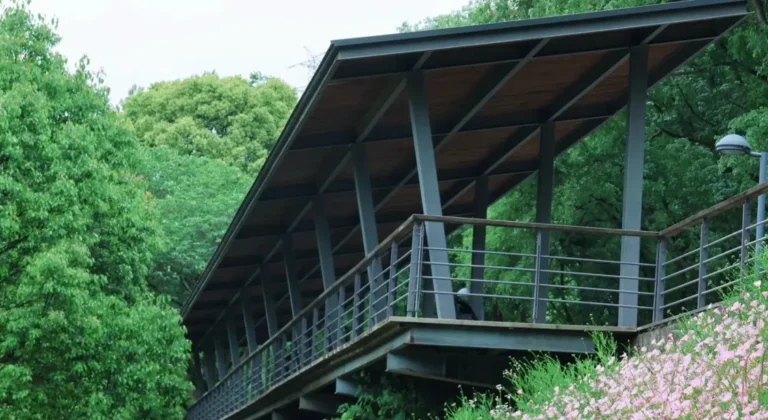 Hiking Trail in Jiangyangfan Ecological Park, West Lake Scenic Area, Hangzhou