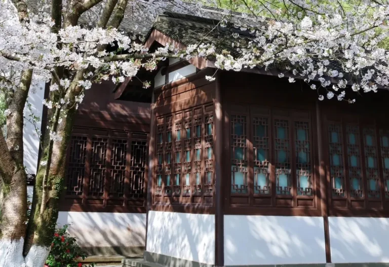 Hiking route to the cherry blossom sanctuary of Meishan Temple on the shores of West Lake